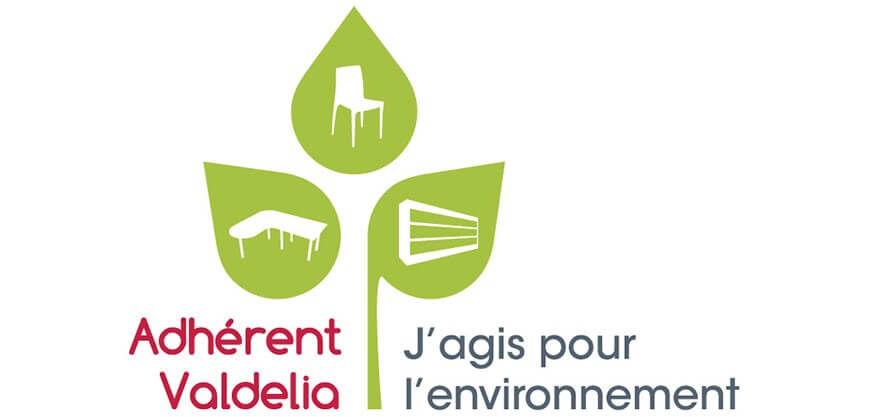 Logo Valdelia